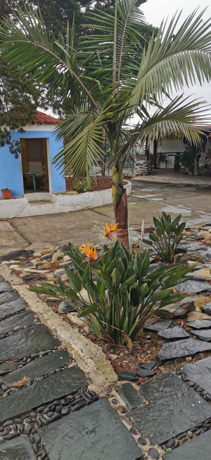 Вилла Casa La Caldera Фиргас Номер фото